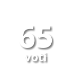 65 voti