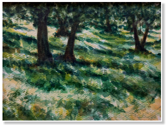 Oliveto