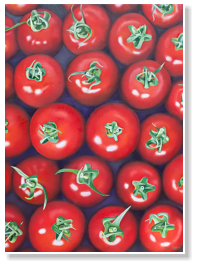 Pomodori