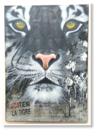SOStieni la tigre