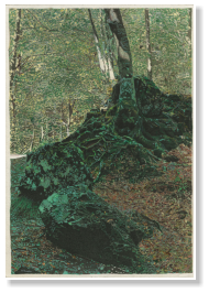 Verso l'Eremo